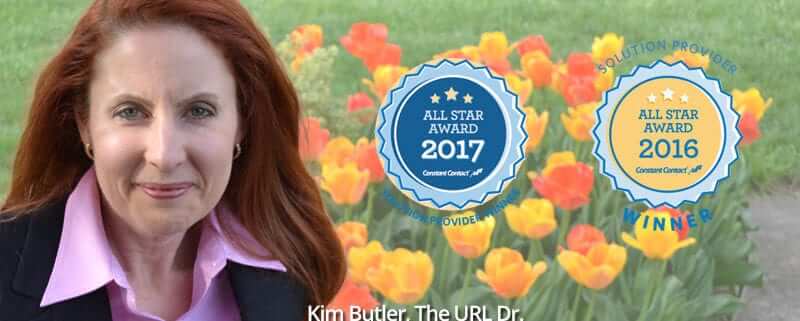 The URL Dr Wins 2017 Constant Contact All Star Award