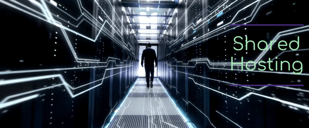 What Kind of Web Hosting Does Your Company Need?