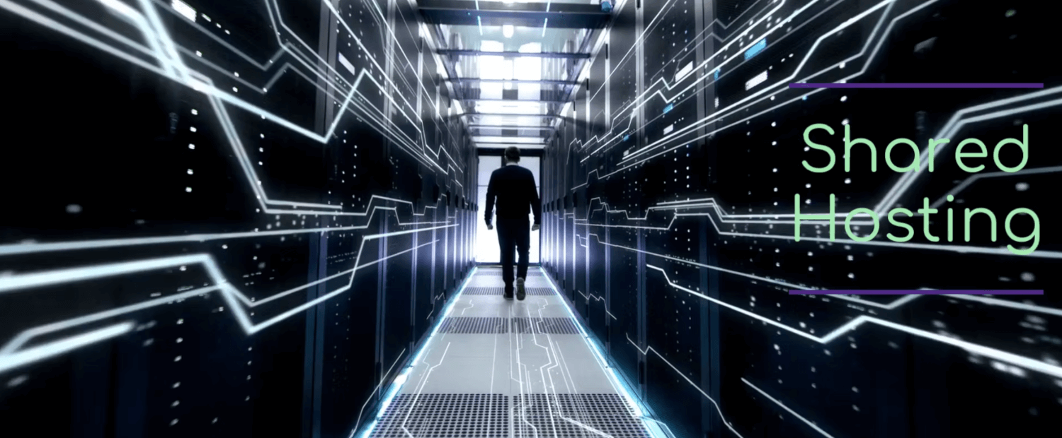What Kind of Web Hosting Does Your Company Need?