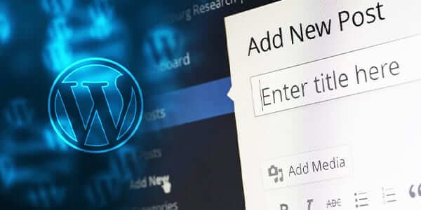 WordPress Hosting 101