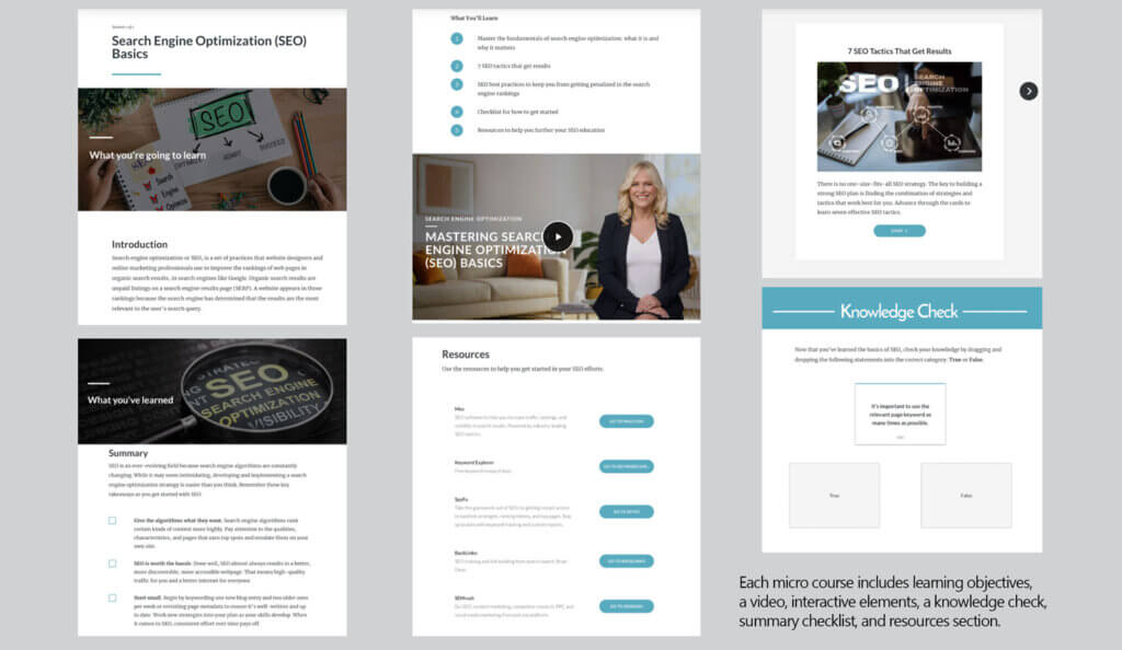 Premade Business Soft Skills Courses
