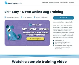 Dogsurance Academy LearnWorlds LMS