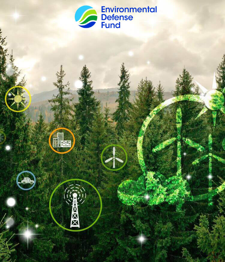 EDF Environment Defense Fund E-learning Case Study